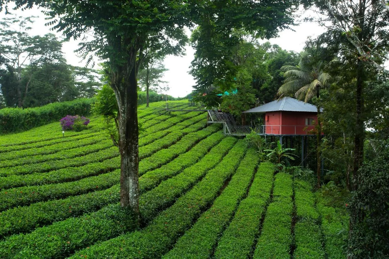 Dream Catcher Plantation Resort Munnar