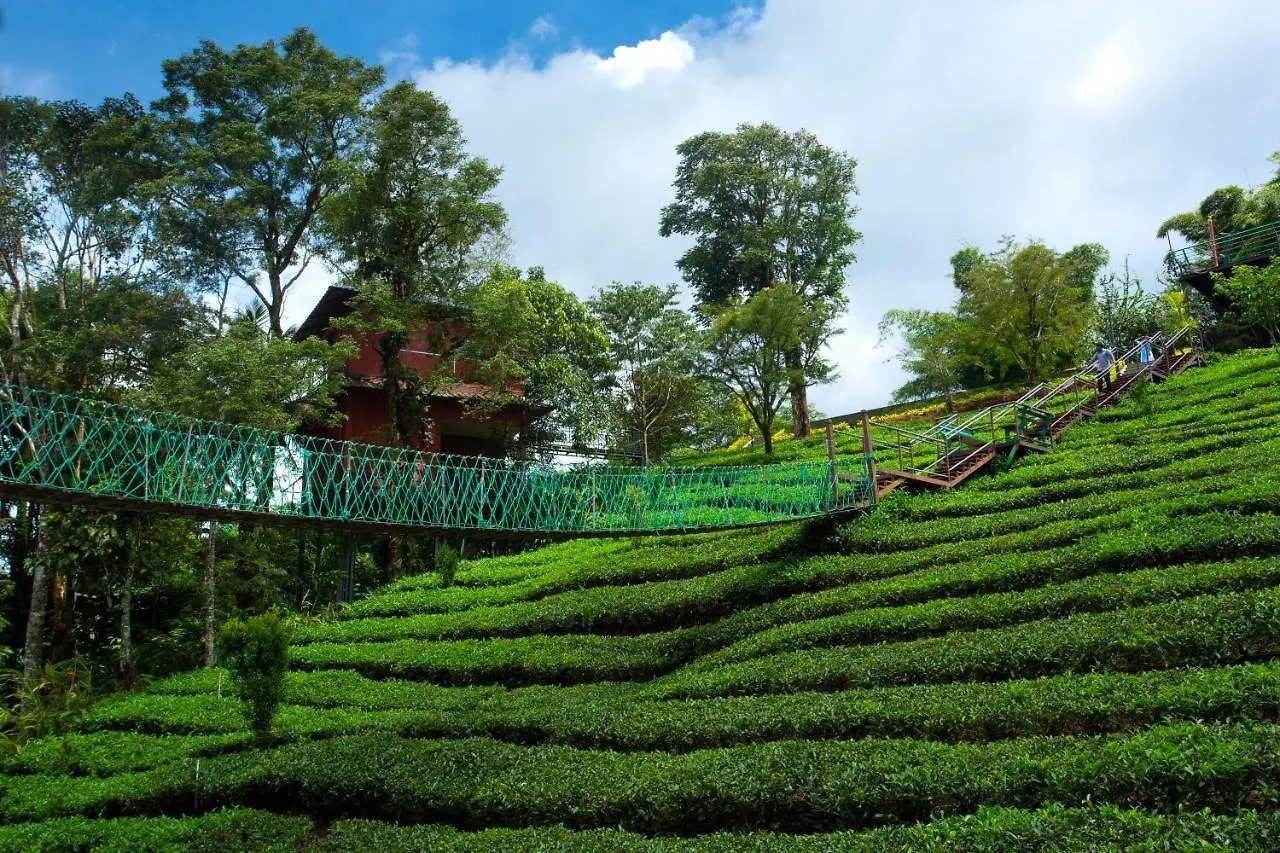 ****  Dream Catcher Plantation Resort Munnar India