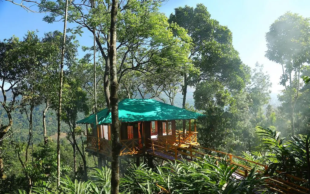 Dream Catcher Plantation Resort Munnar 4*,  India