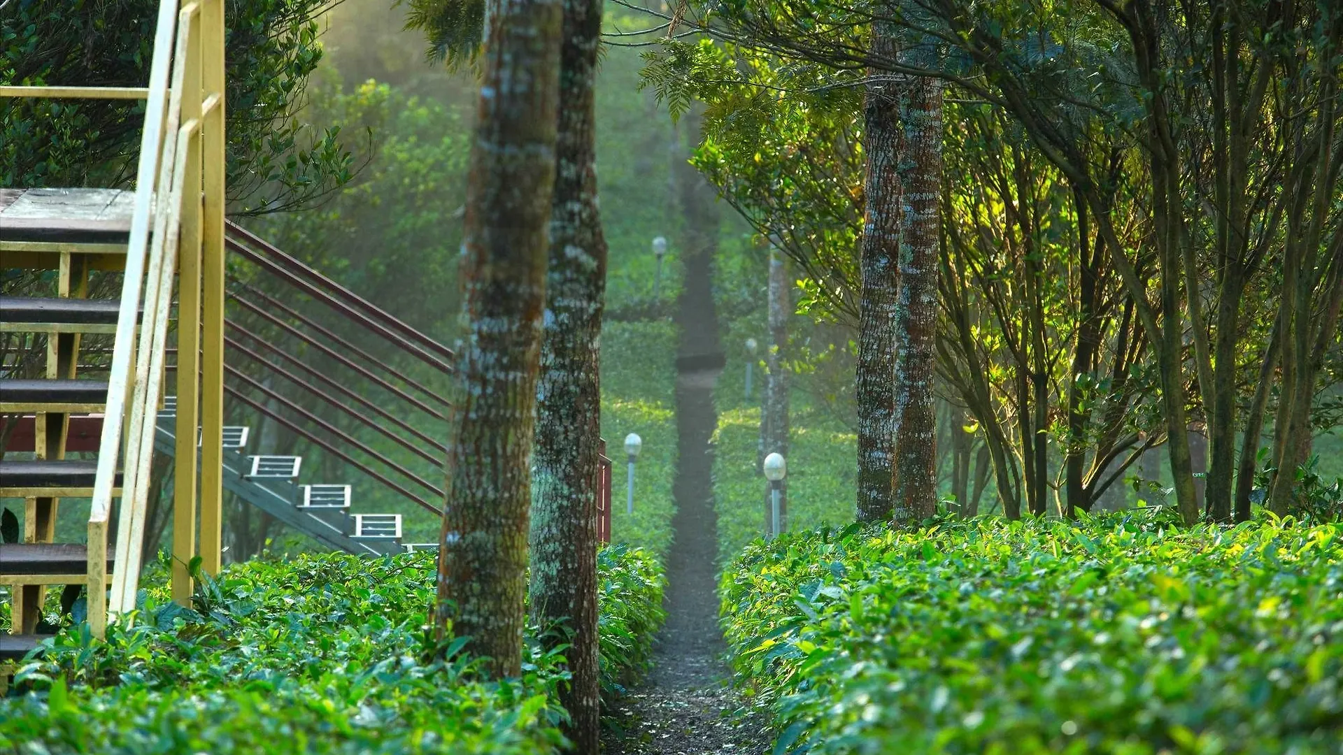 Dream Catcher Plantation Resort Munnar