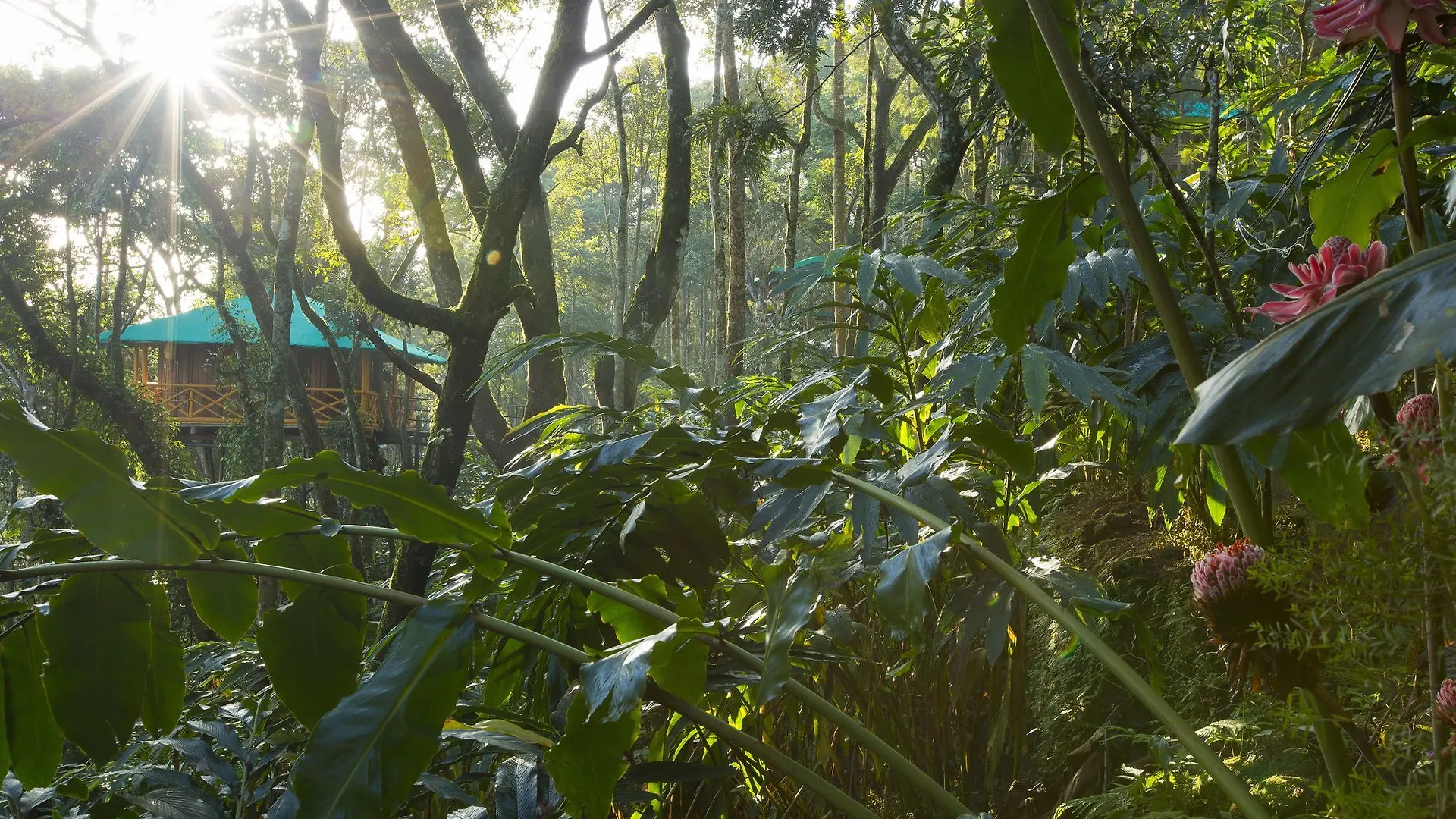 Dream Catcher Plantation Resort Munnar