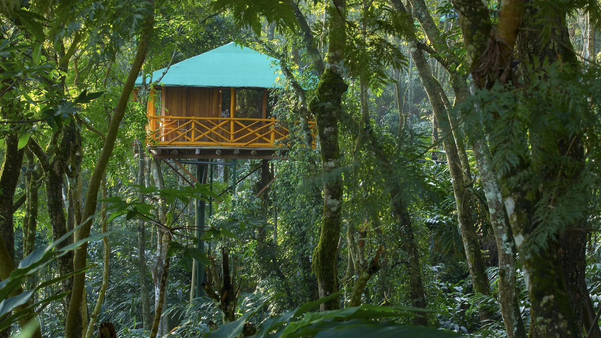 Dream Catcher Plantation Resort Munnar