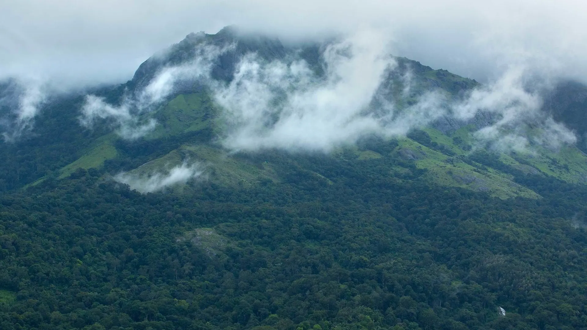 Dream Catcher Plantation Resort Munnar