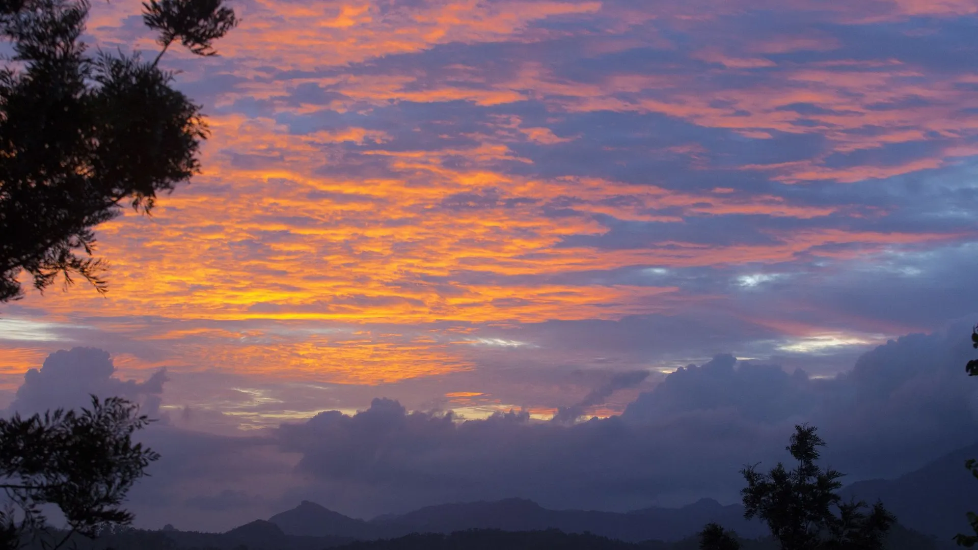 Dream Catcher Plantation Resort Munnar India