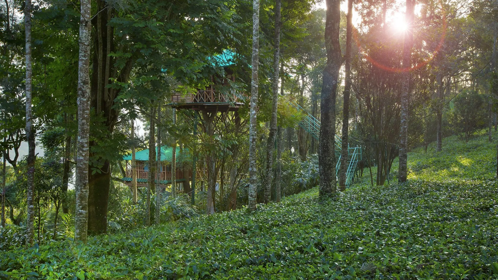 Dream Catcher Plantation Resort Munnar