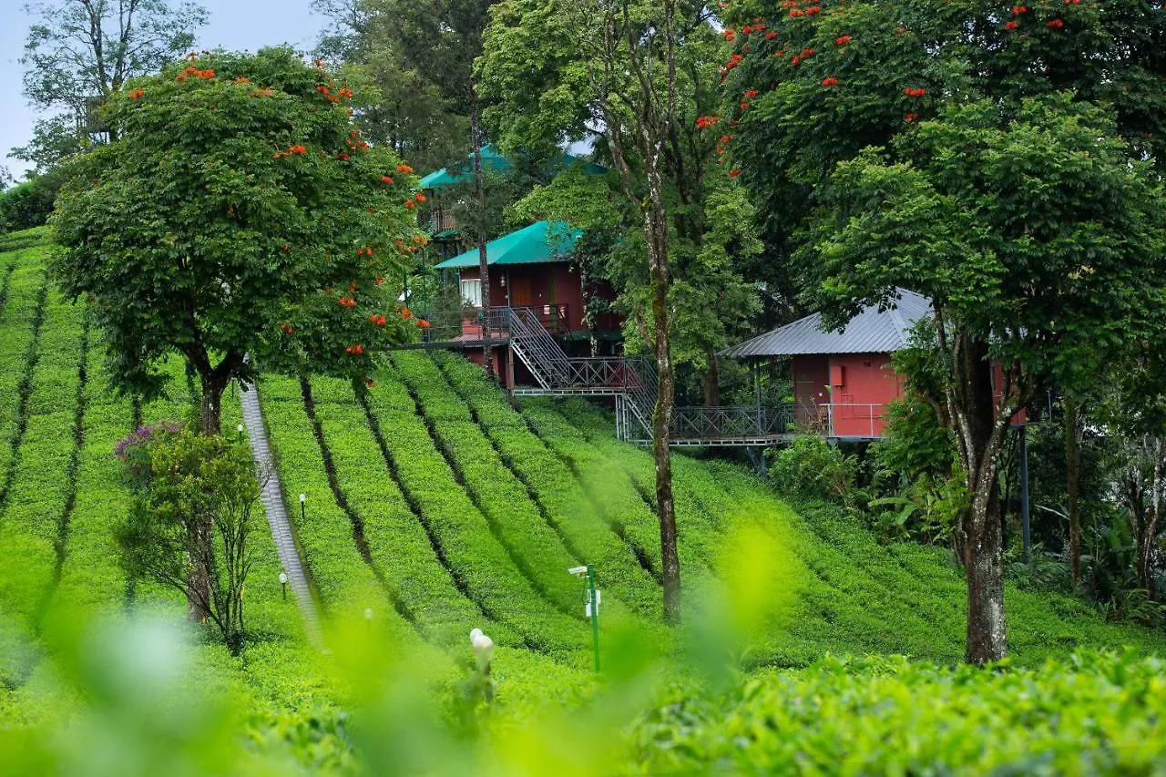 Dream Catcher Plantation Resort Munnar India
